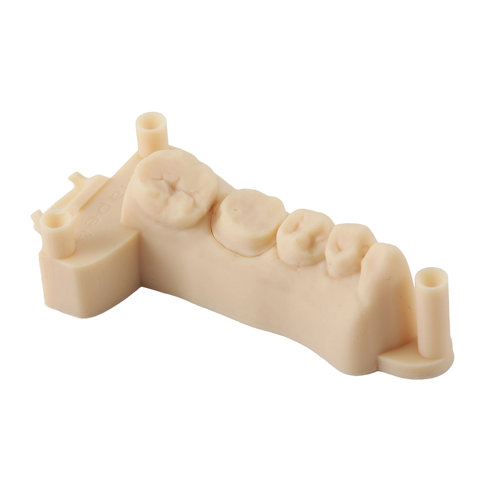 D01S Dental Model Low Shrinkage 3D Printer Resin 3 D01S Dental Model Low Shrinkage 3D Printer Resin 3