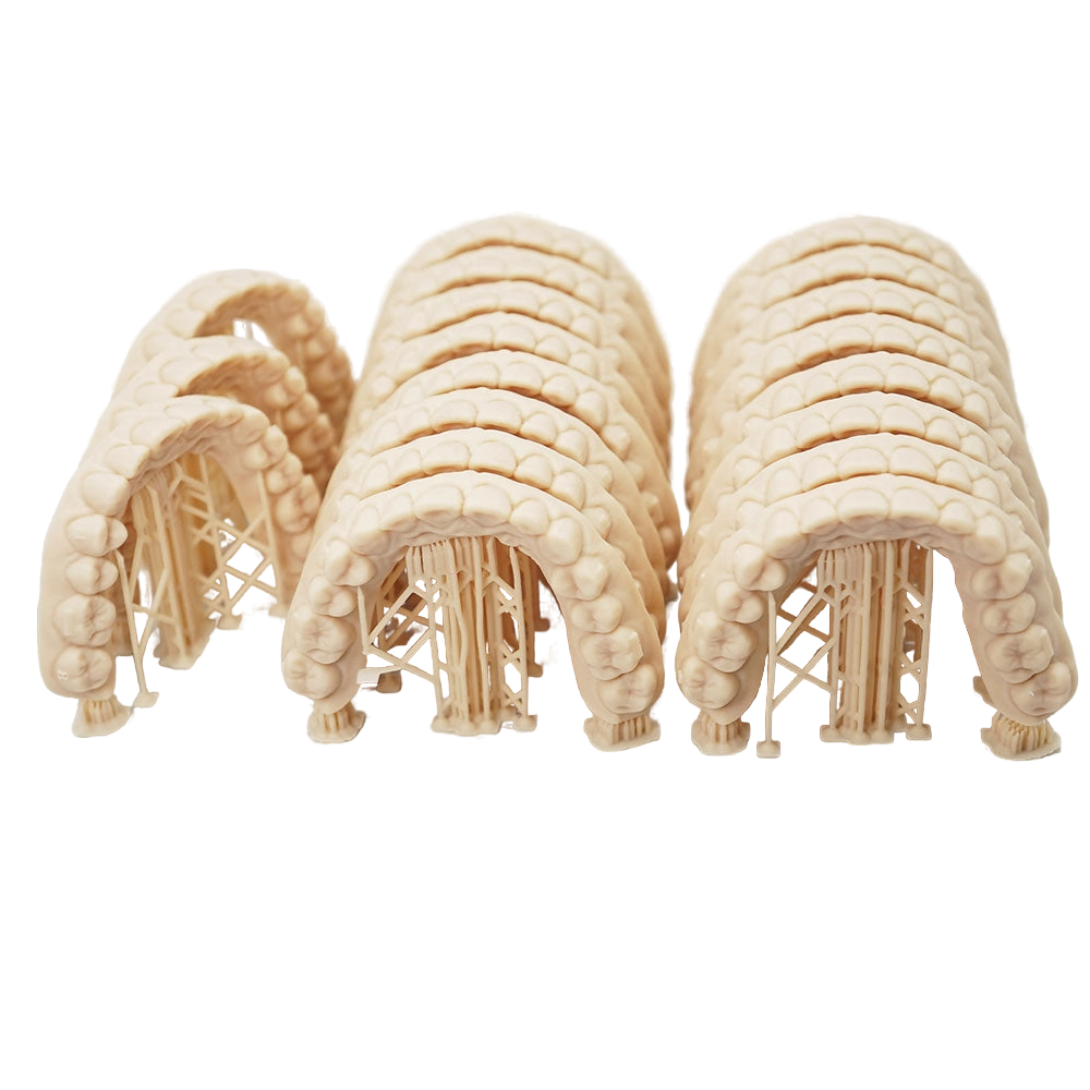 D01S Dental Model Low Shrinkage 3D Printer Resin D01S Dental Model Low Shrinkage 3D Printer Resin