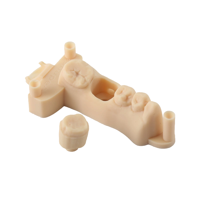 D01S Dental Model Low Shrinkage 3D Printer Resin 2 D01S Dental Model Low Shrinkage 3D Printer Resin 2