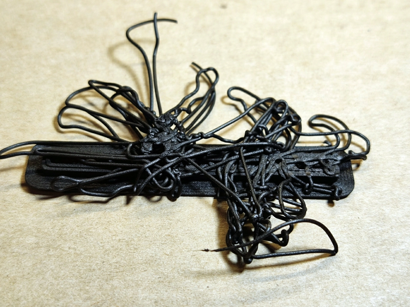 primer2.jpg primer2.jpg