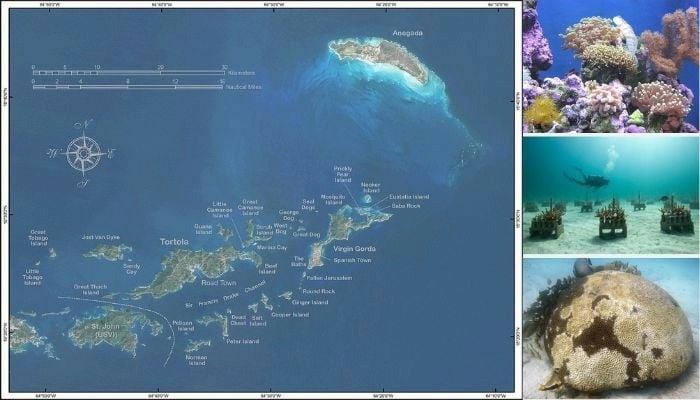 Британские Виргинские острова Британские Виргинские острова
