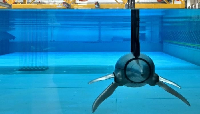 3D-печатное «Морское чудовище» плиозавр плавает в бассейне