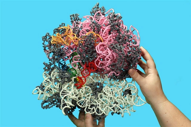 Макет структуры Макет структуры