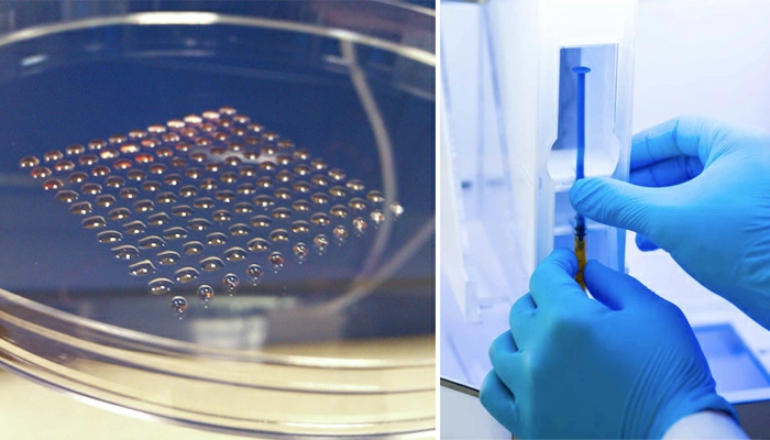 Исследователям из Университета Исла Нублар понадобилось три года, чтобы создать жизнеспособный эмбрион