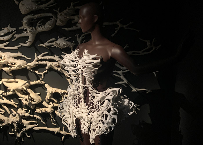 Платье-скелет Платье-скелет