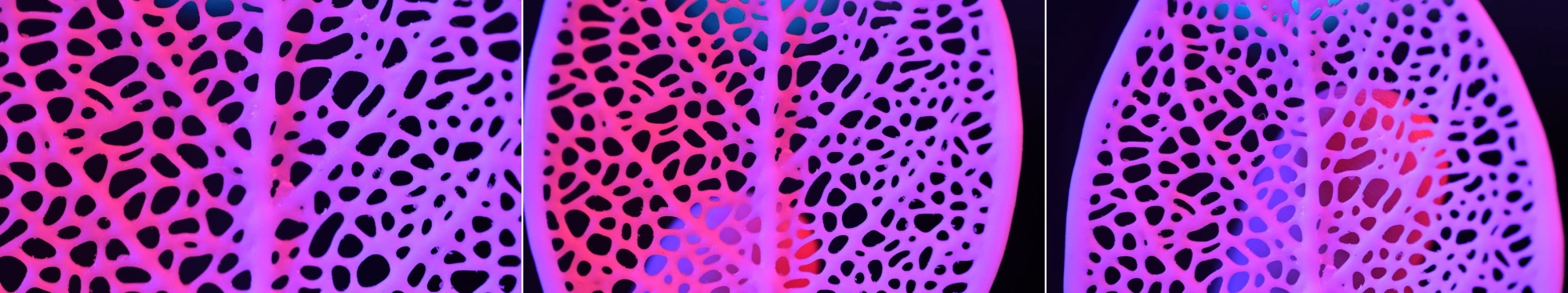 Печать модели сетчатого листа