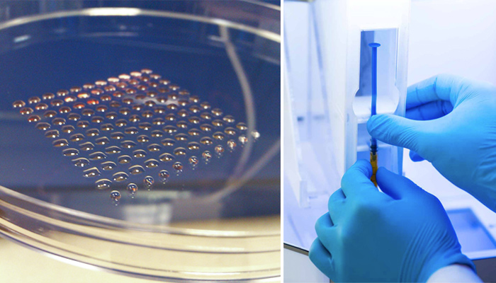 Исследователям из Университета Исла Нублар понадобилось три года, чтобы создать жизнеспособный эмбрион Исследователям из Университета Исла Нублар понадобилось три года, чтобы создать жизнеспособный эмбрион