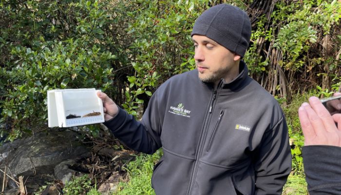 Фотариум NIWA для рыб и макробеспозвоночных Фотариум NIWA для рыб и макробеспозвоночных