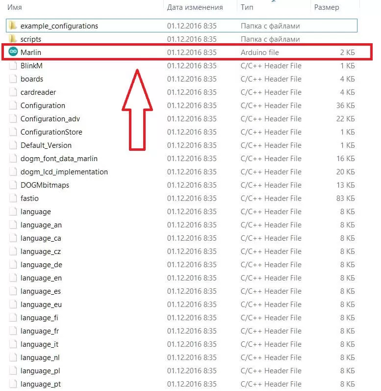 marlin-file.jpg